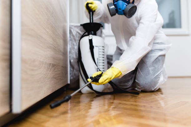 Best Wildlife Control Services  in Hayward, WI