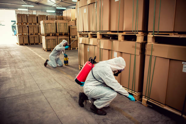 Best Rat Extermination Near Me  in Hayward, WI