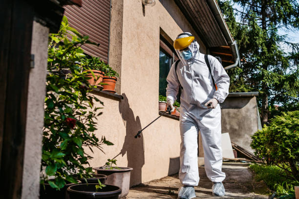 Best Affordable Pest Control Services  in Hayward, WI