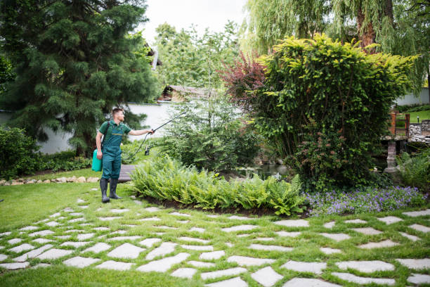 Best Pest Control Near Me  in Hayward, WI