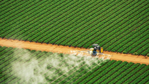 Best Commercial Pest Control Services  in Hayward, WI